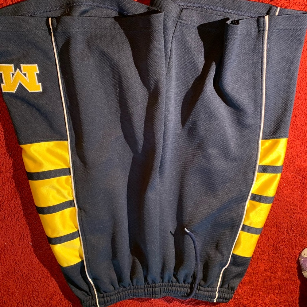 Vintage Michigan shorts